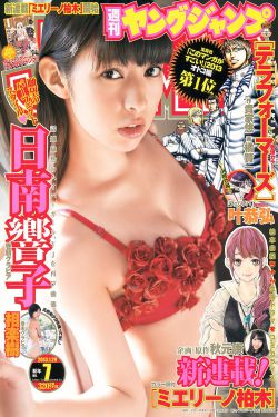 流光引 电视剧